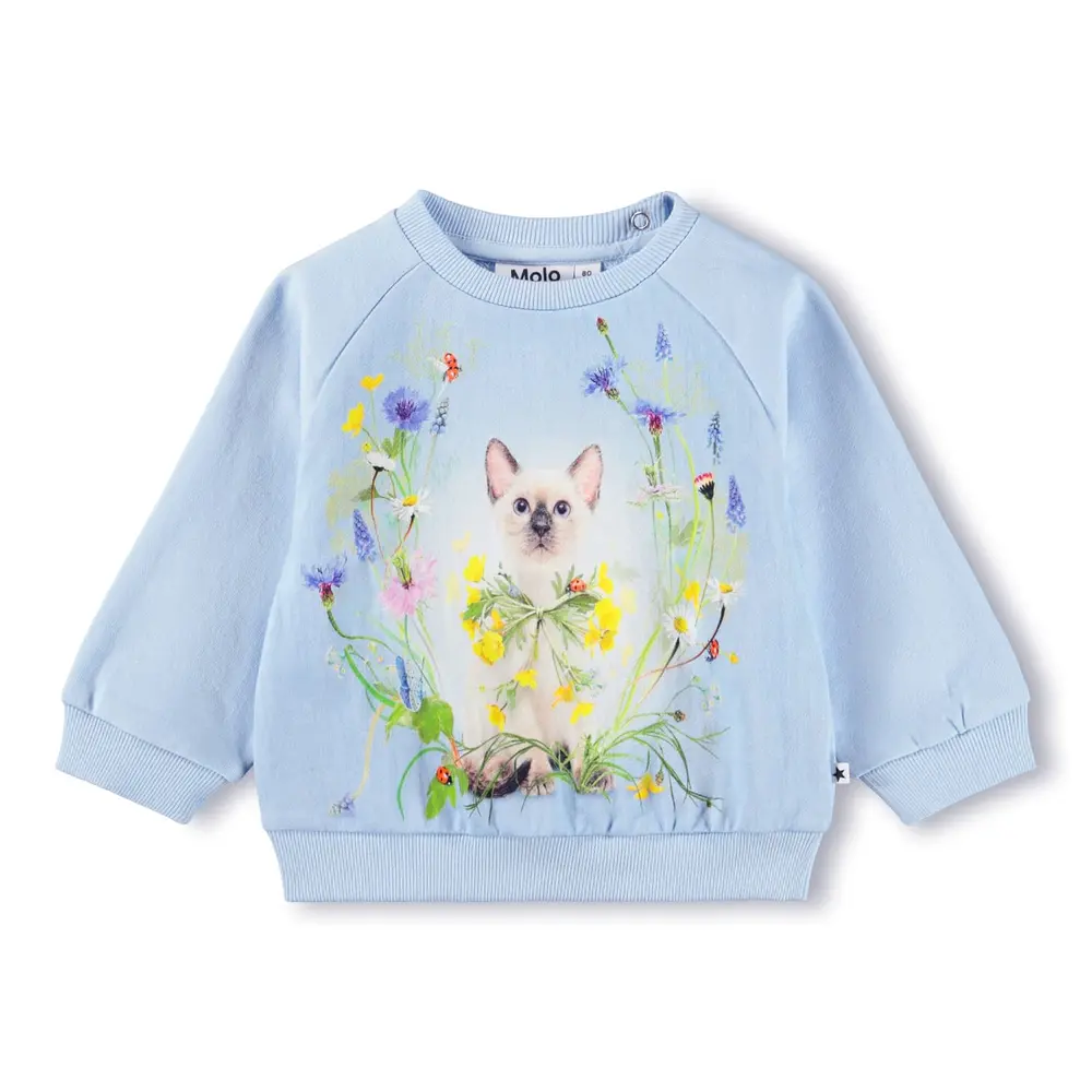 Disc Sweater - Meadow Kitten - 62