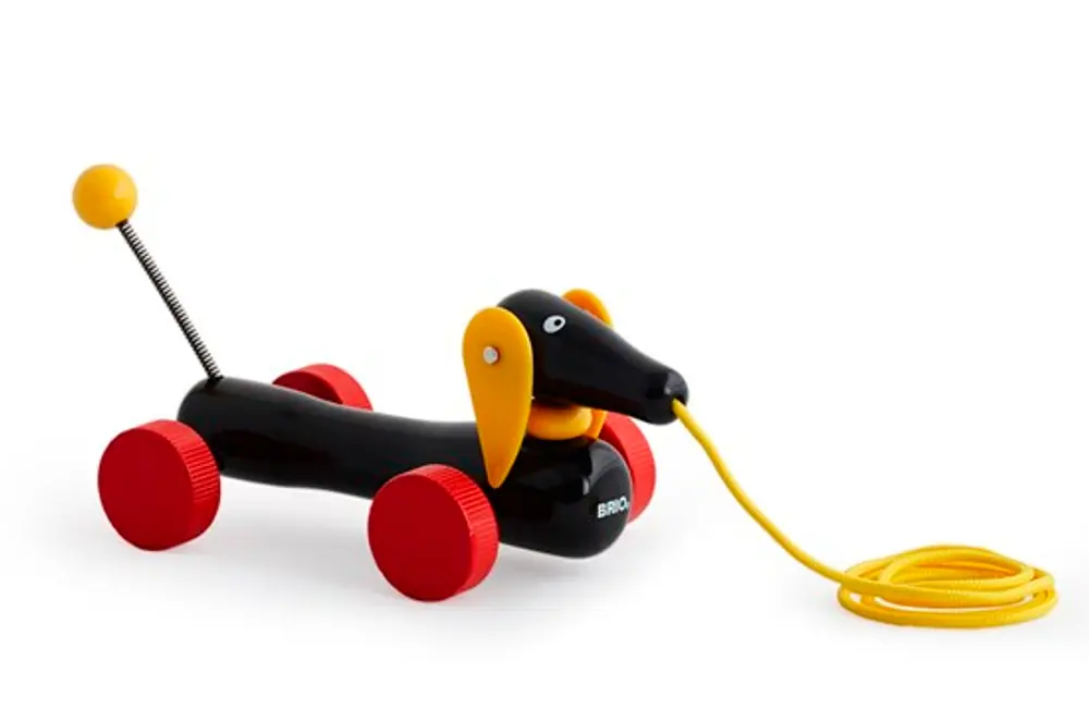 Dachsie, hund, Pull along