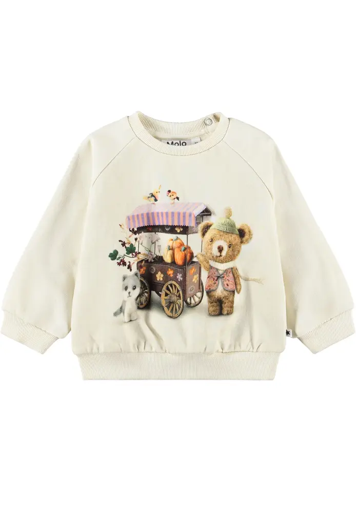Molo Disc Sweatshirt - Flower Market - 56
