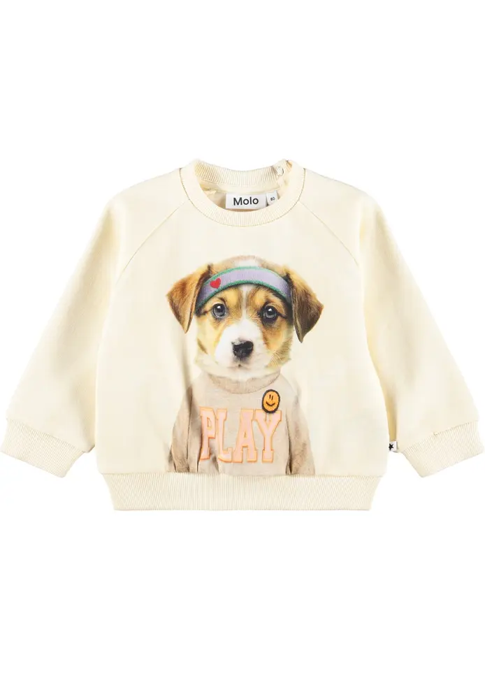 Molo Disc Sweatshirt - Game Pup - 86
