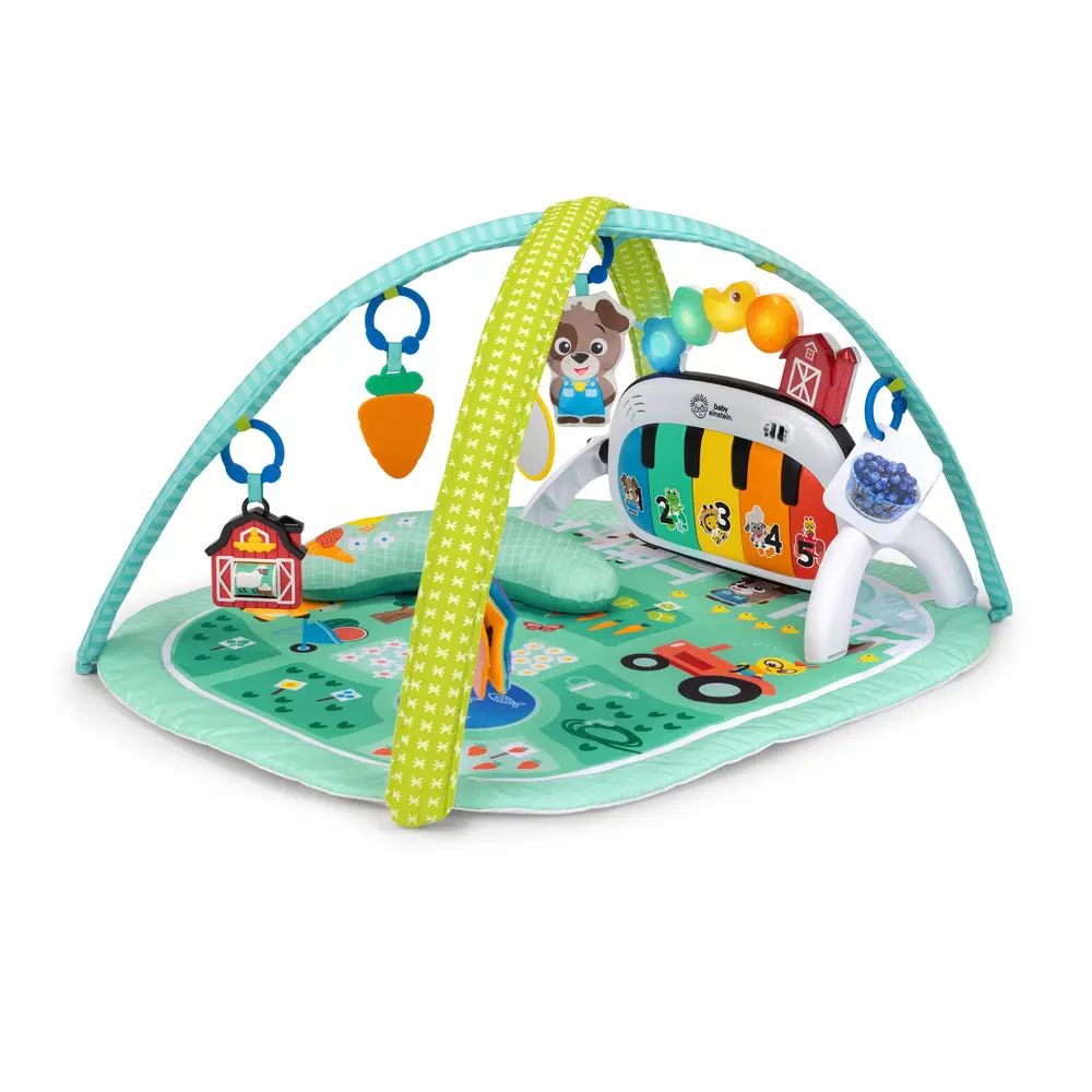 4-in-1  Musical Meadow aktivitetstæppe med musik