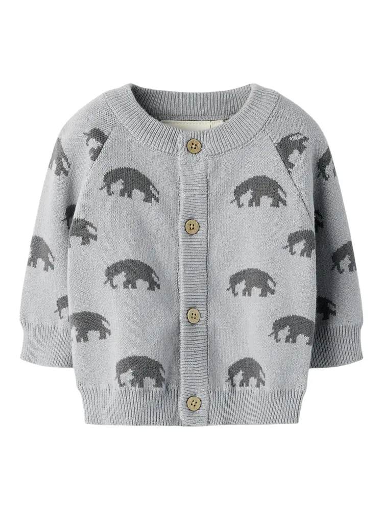 Lil' Atelier Lulio Cardigan - Sleet - 86