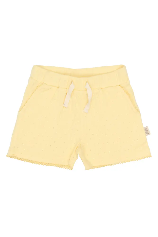 Suze Pointelle Shorts - Mellow Yellow - 104
