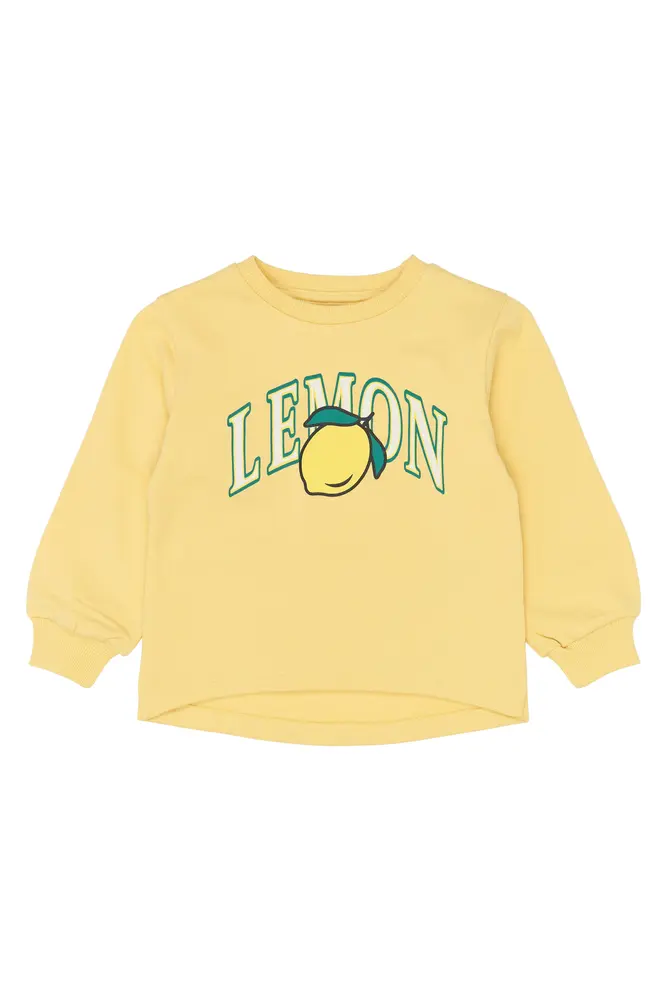 Shelby Sweatshirt - Dusky Citron - 104